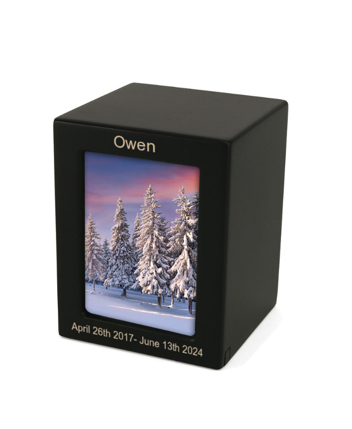 Small Photo Urn for pets 51 - 100 lbs - multiple finishes (with personalization)